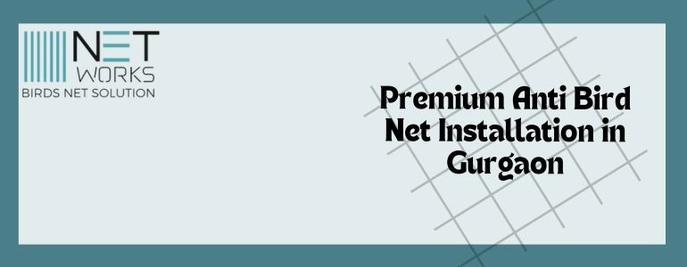 Anti Bird Net Installation in Gurgaon