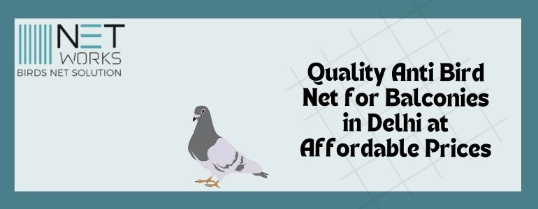 Bird Net Installation Services in Delhi