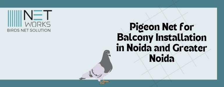 Pigeon Net for Balcony In Noida