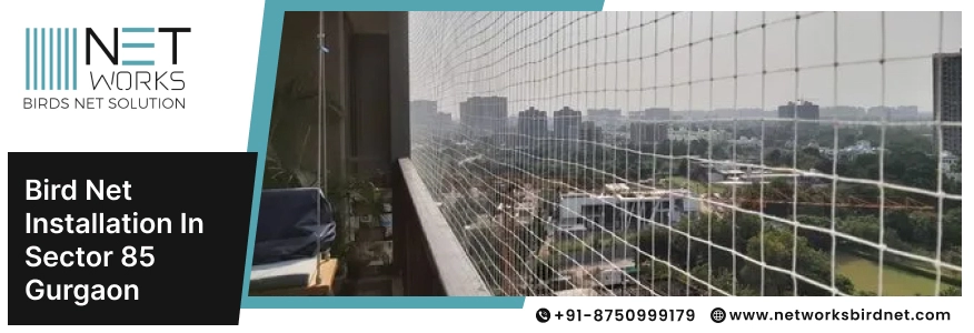 Bird Net Installation in Sector 85 Gurgaon | Best Bird Net Services in Sector 85 Gurgaon