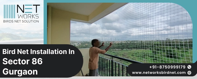 Bird Net Installation in Sector 86 Gurgaon