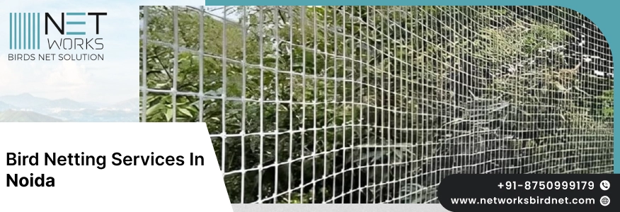 Bird Netting Services in Noida | Bird net for balcony in Noida 