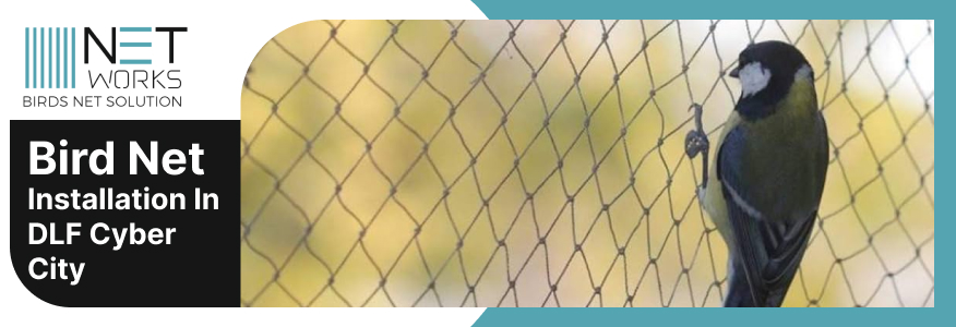 Bird net installation in DLF Cyber City - Networks Bird Net