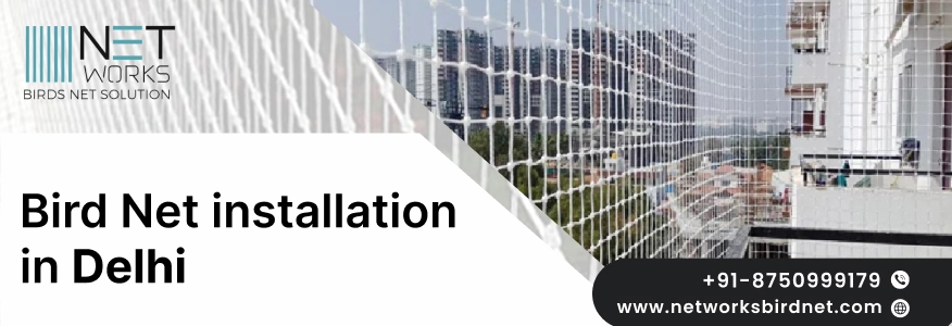 Bird Net Installation in Delhi