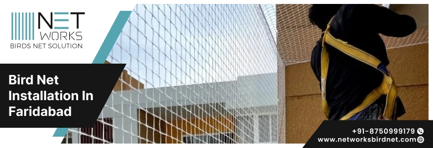 Bird net installation in Faridabad - Networks Bird Net