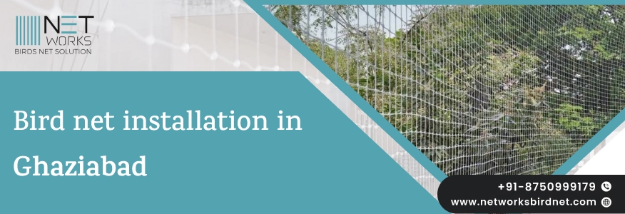 Bird Net Installation in Ghaziabad