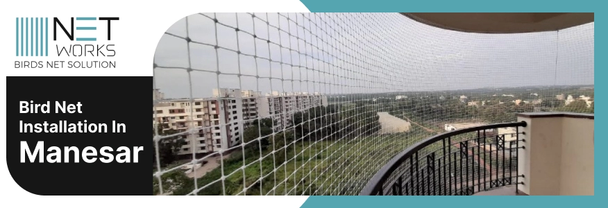 Bird net installation in Manesar
