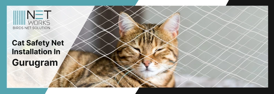  Cat Safety Net Installation in Gurugram