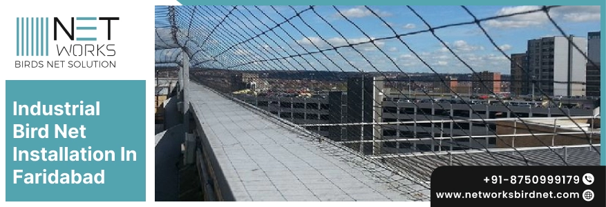 Industrial Bird Net Installation in Faridabad