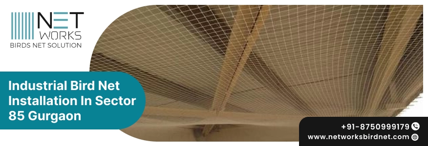 Industrial Bird Net Installation in Sector 85 Gurgaon