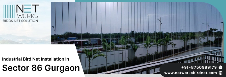 Industrial Bird Net Installation in Sector 86 Gurgaon