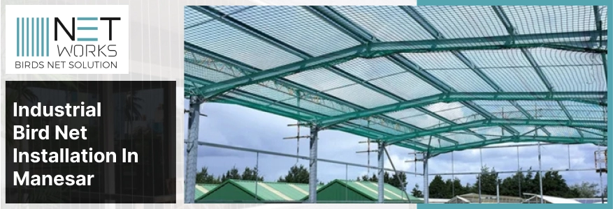 Industrial Bird netting service in Manesar