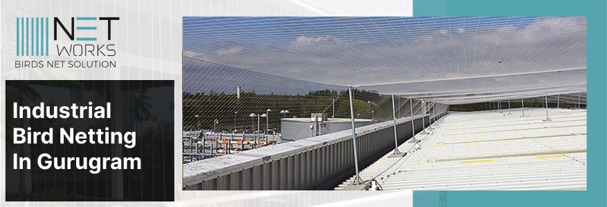 Industrial bird netting Gurugram