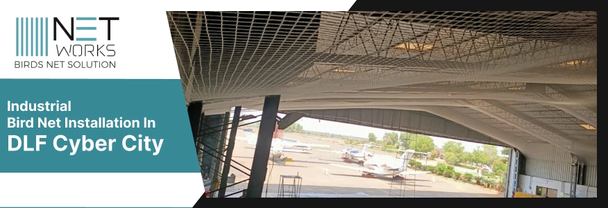 Industrial Bird net installation in DLF Cyber City