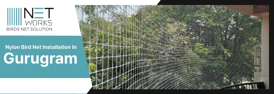 Nylon Bird Net installation Gurugram