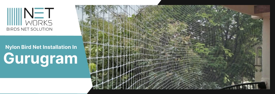 Nylon Bird Net installation Gurugram 