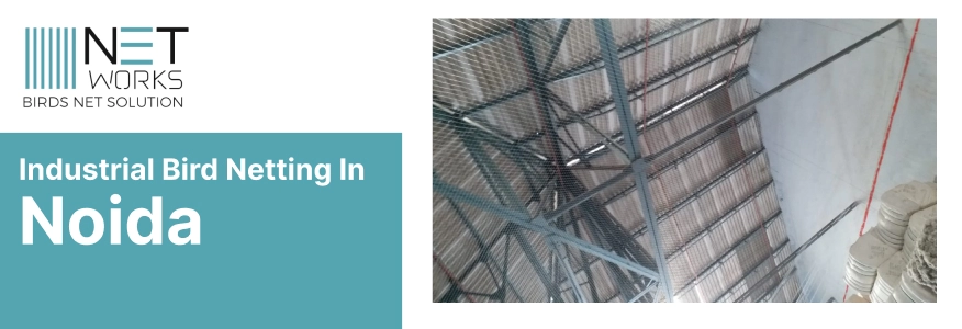 Trusted Industrial Bird Netting Supplier in Noida