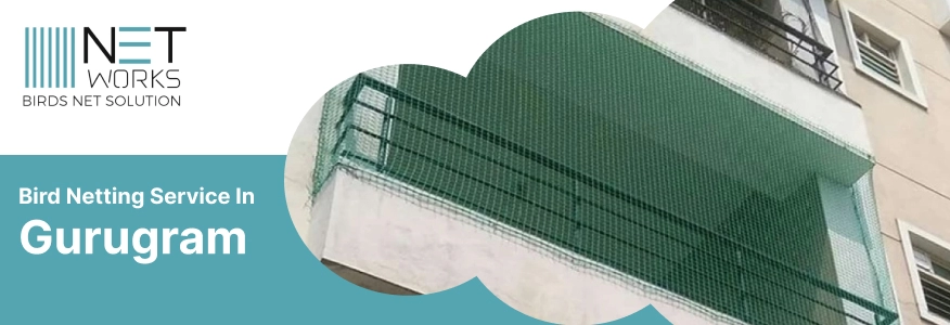 Bird Netting installation in Gurgaon