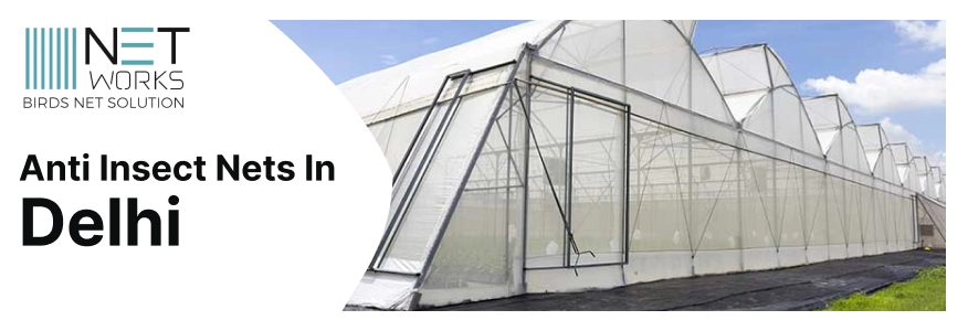 Best Anti Insect Net Installation in Delhi