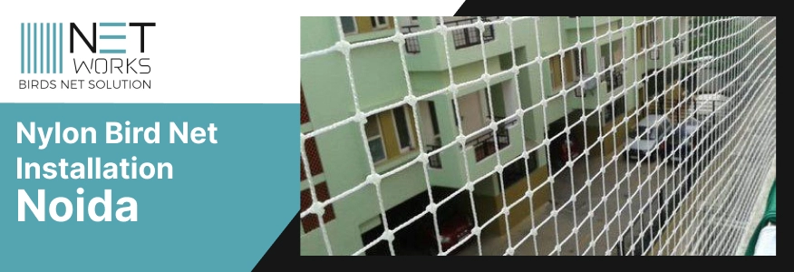 Best Nylon Bird Net Installation In Noida