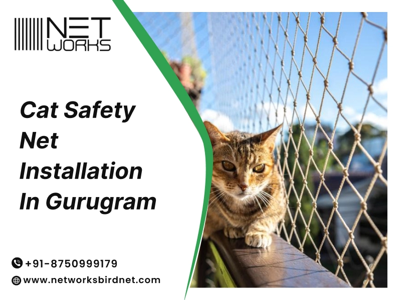  Cat Safety Net Installation in Gurugram