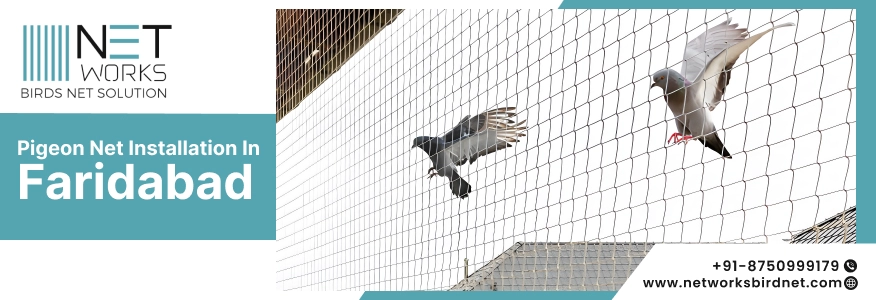 Pigeon Net Installation in Faridabad