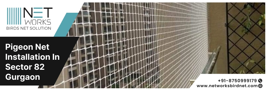 Pigeon Net Installation in Sector 82 Gurgaon