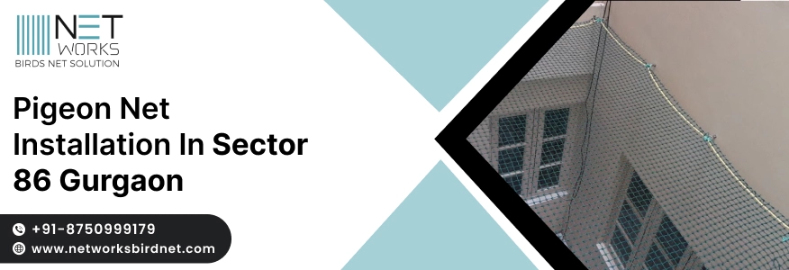 Pigeon Net Installation in Sector 86 Gurgaon | Pigeon Safety Nets in Sector 86 Gurgaon