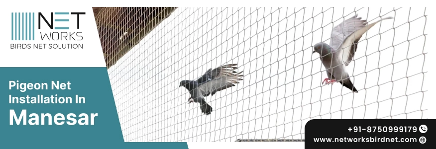 Pigeon net installation in Manesar for balconies