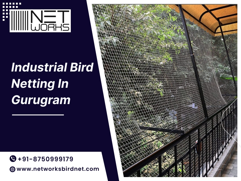 Industrial bird netting Gurugram