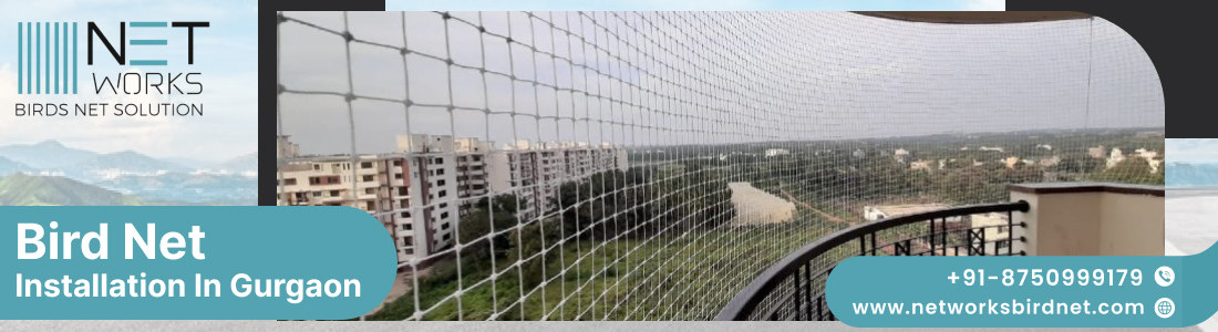 Bird Net Installation in Gurgaon at best price