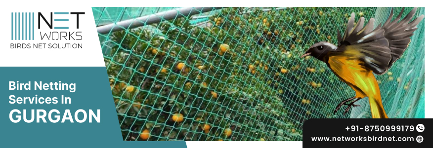 Bird net installation in Gurgaon for balcony, Pigeon control ...