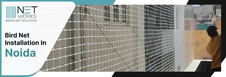 Bird Net Installation Service in Noida - Networks Bird Net 