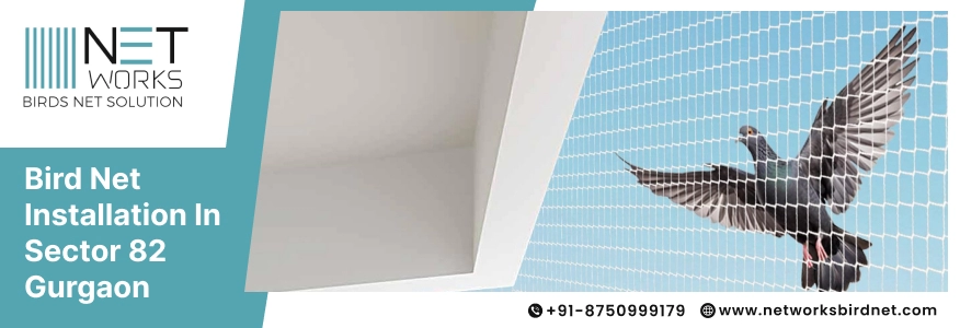 Bird Net Installation in Sector 82 Gurgaon