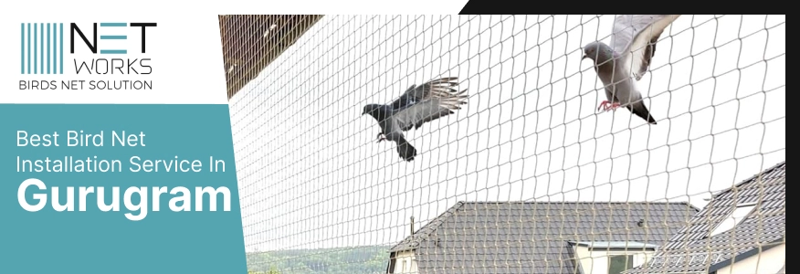 Bird Net Installation in Gurugram