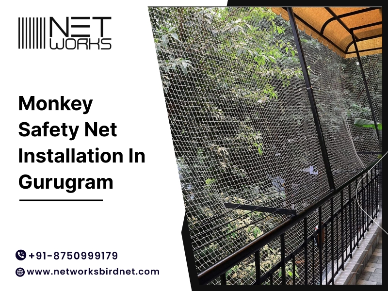 Monkey Safety Nets in Gurugram