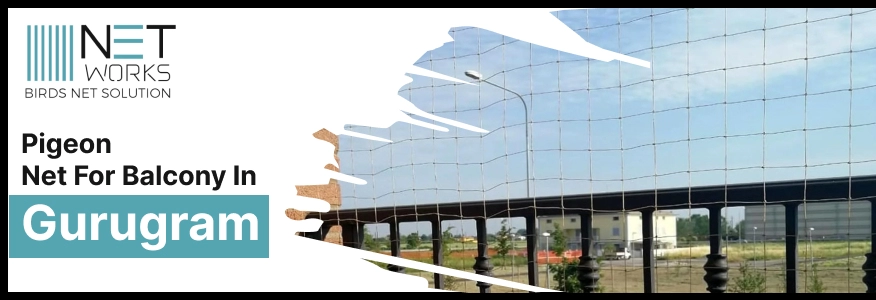 Pigeon Net for Balcony in Gurgaon